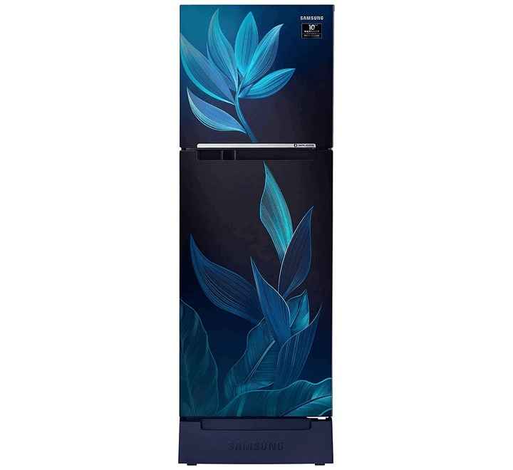 Samsung 253 L 2 Star Inverter Frost-Free Double Door Refrigerator (RT28T31429U/HL Paradise Blue Base Stand with Drawer)